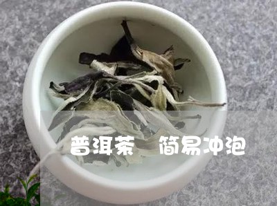 普洱茶 简易冲泡/2023041015060